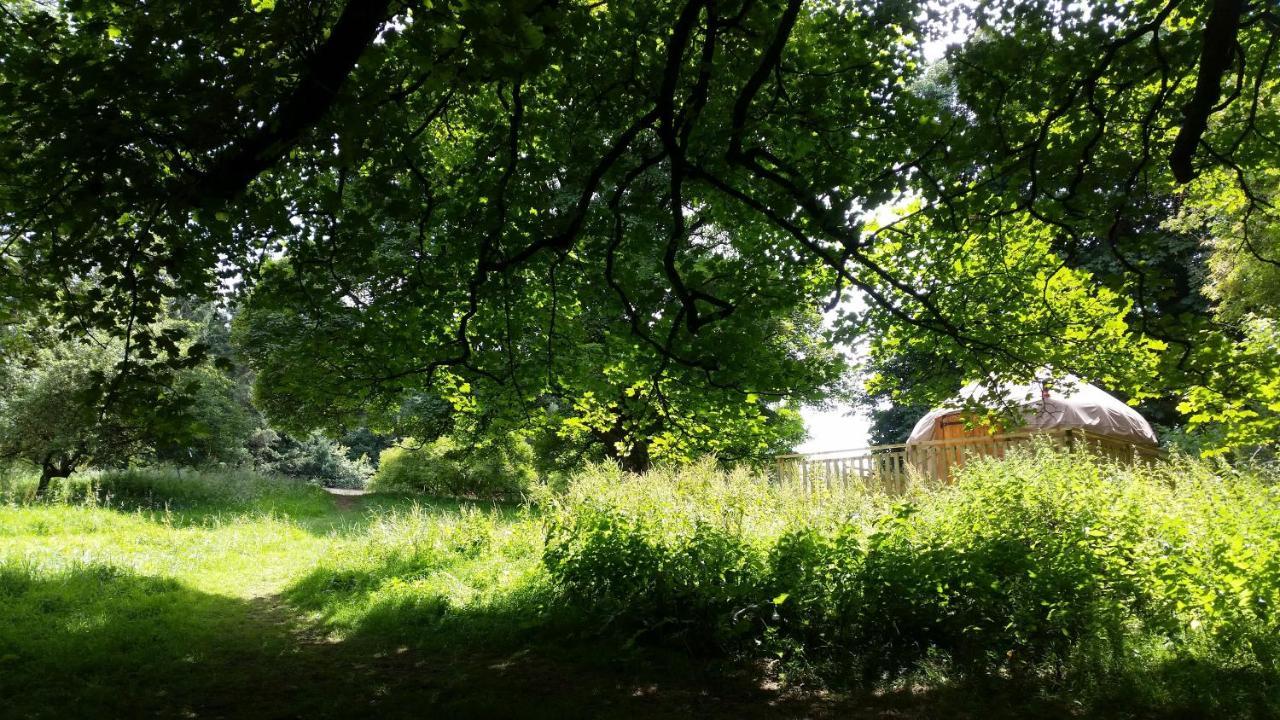 Rock Farm Slane - Glamping Hotel Luaran gambar
